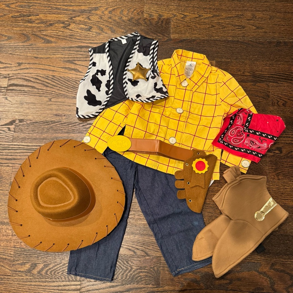 Disney Woody Costume